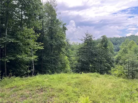tbd Staghorn Rd, Purlear, NC 28665 photo 6