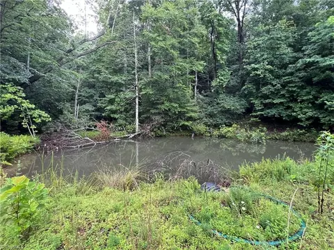tbd Staghorn Rd, Purlear, NC 28665 photo 8