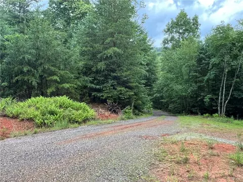 tbd Staghorn Rd, Purlear, NC 28665 photo 28