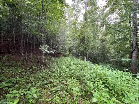 tbd Staghorn Rd, Purlear, NC 28665 photo 19