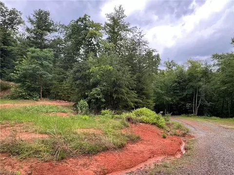 tbd Staghorn Rd, Purlear, NC 28665 photo 26