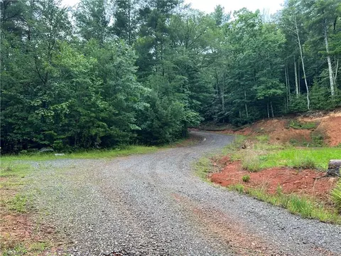 tbd Staghorn Rd, Purlear, NC 28665 photo 22