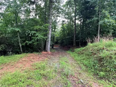 tbd Staghorn Rd, Purlear, NC 28665 photo 21