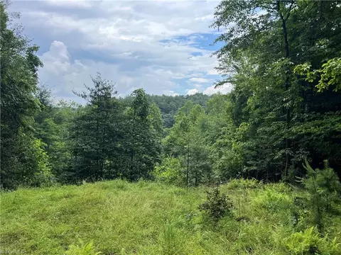 tbd Staghorn Rd, Purlear, NC 28665 photo 7