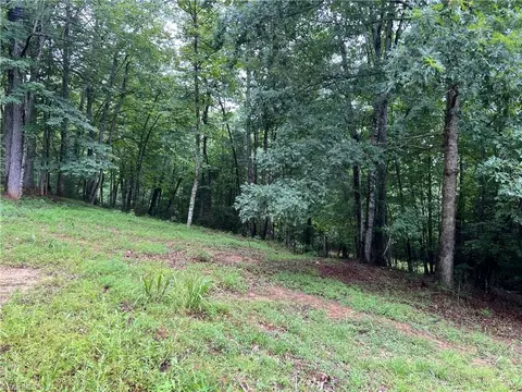 tbd Staghorn Rd, Purlear, NC 28665 photo 11