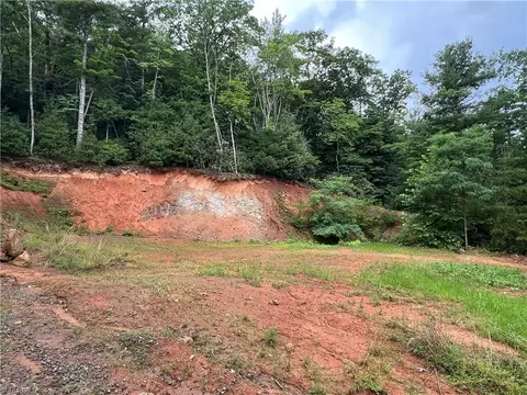 tbd Staghorn Rd, Purlear, NC 28665 photo 24
