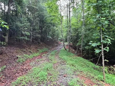 tbd Staghorn Rd, Purlear, NC 28665 photo 13