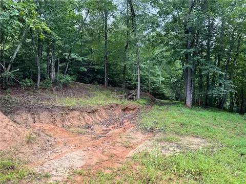 tbd Staghorn Rd, Purlear, NC 28665 photo 9