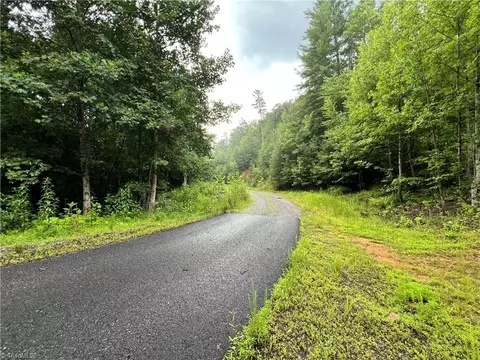 tbd Staghorn Rd, Purlear, NC 28665 photo 4
