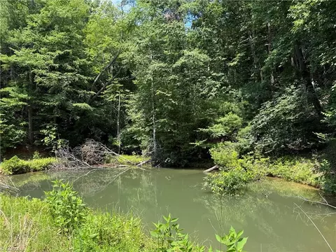 tbd Staghorn Rd, Purlear, NC 28665 photo 2