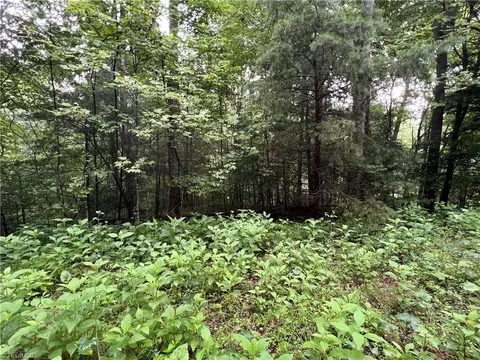 tbd Staghorn Rd, Purlear, NC 28665 photo 20