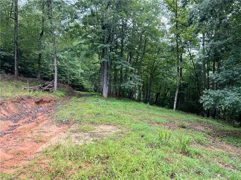 tbd Staghorn Rd, Purlear, NC 28665 photo 10