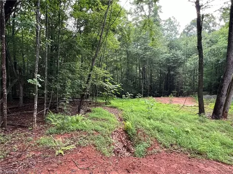 tbd Staghorn Rd, Purlear, NC 28665 photo 14