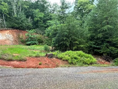 tbd Staghorn Rd, Purlear, NC 28665 photo 27