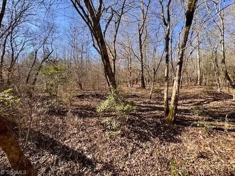 747 Chandler Rd, Dobson, NC 27017 photo 13