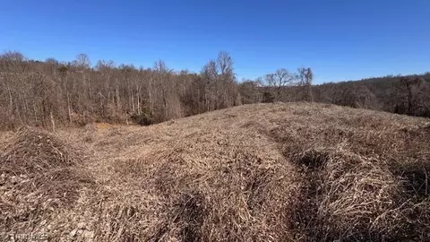 747 Chandler Rd, Dobson, NC 27017 photo 39