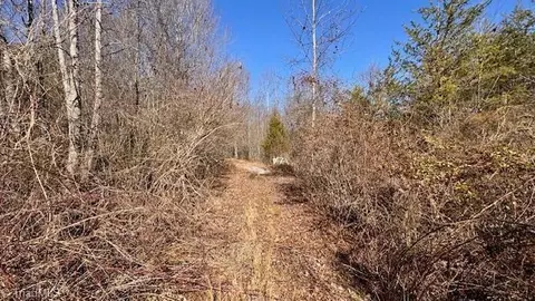 747 Chandler Rd, Dobson, NC 27017 photo 26