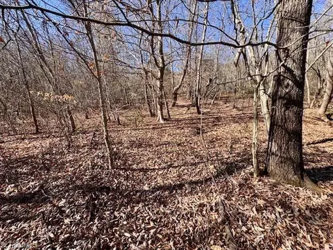 747 Chandler Rd, Dobson, NC 27017 photo 14