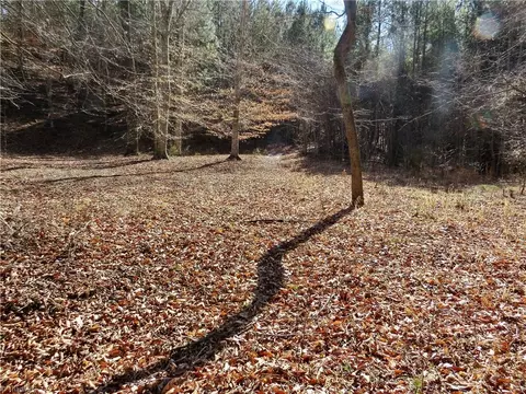 333 Haw Rd, Browns Summit, NC 27214 photo 42