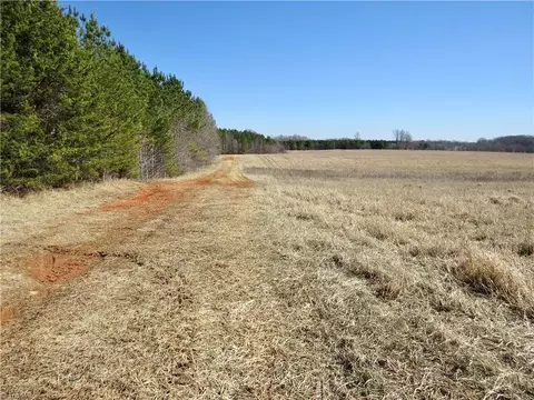 333 Haw Rd, Browns Summit, NC 27214 photo 3