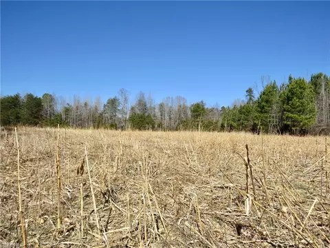 333 Haw Rd, Browns Summit, NC 27214 photo 30