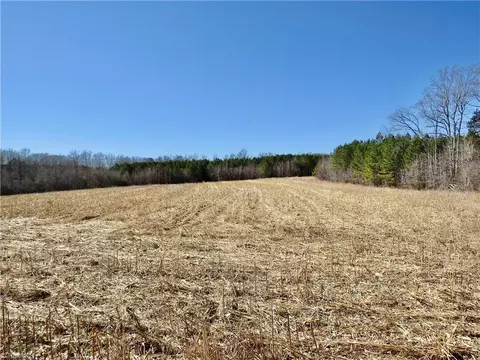 333 Haw Rd, Browns Summit, NC 27214 photo 14