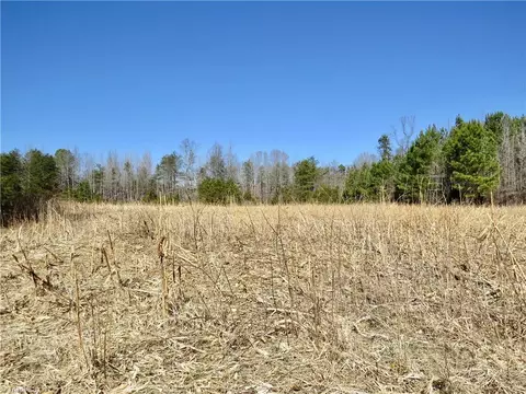 333 Haw Rd, Browns Summit, NC 27214 photo 28