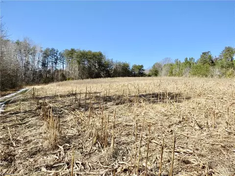 333 Haw Rd, Browns Summit, NC 27214 photo 22