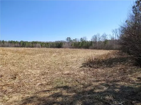 333 Haw Rd, Browns Summit, NC 27214 photo 17
