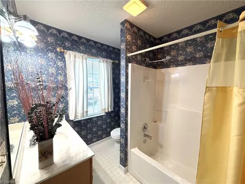 Bath - 206 Ridge Creek Dr, Trinity, NC 27370 photo 3 of 3