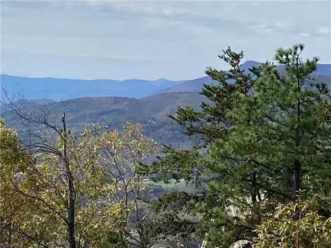 430 Reflections Point Trl, Fancy Gap, VA 24328 photo 3