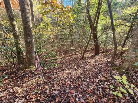 tbd Sable Ave, Mount Airy, NC 27030 photo 2