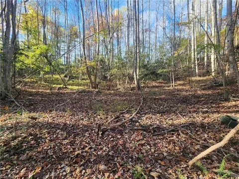 tbd Sable Ave, Mount Airy, NC 27030 photo 6