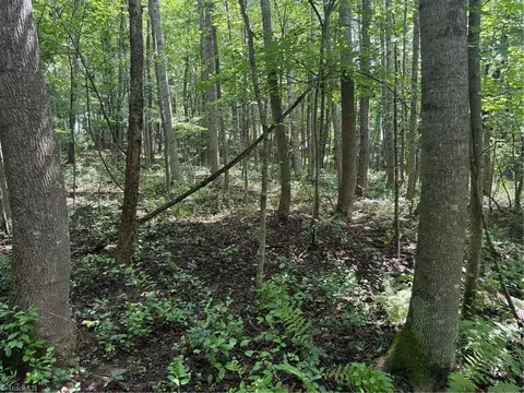lot22 Austin Traphill Rd, Traphill, NC 28685 photo 5