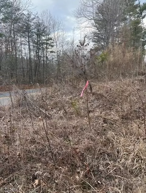 lot22 Austin Traphill Rd, Traphill, NC 28685 photo 3