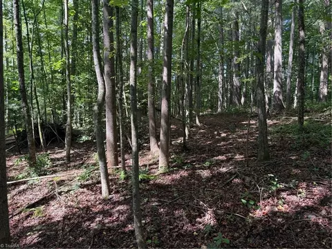 lot22 Austin Traphill Rd, Traphill, NC 28685 photo 8