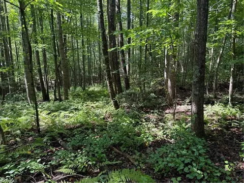 lot22 Austin Traphill Rd, Traphill, NC 28685 photo 6