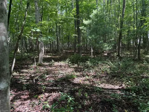 lot22 Austin Traphill Rd, Traphill, NC 28685 photo 7