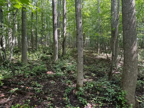 lot22 Austin Traphill Rd, Traphill, NC 28685 photo 4