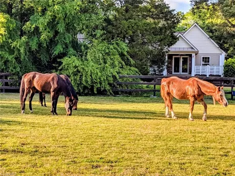 7217 Bulb Rd, Julian, NC 27283
