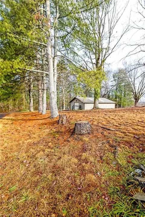111 Arthur Haney Rd, Dobson, NC 27017 photo 20