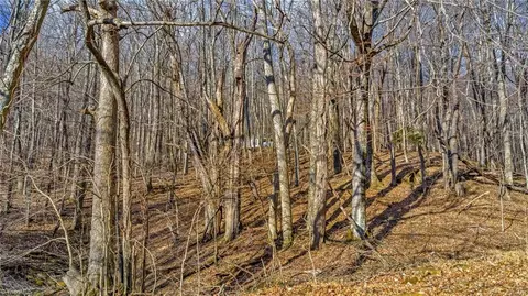 tbd 23 Locust Cir, West Jefferson, NC 28694