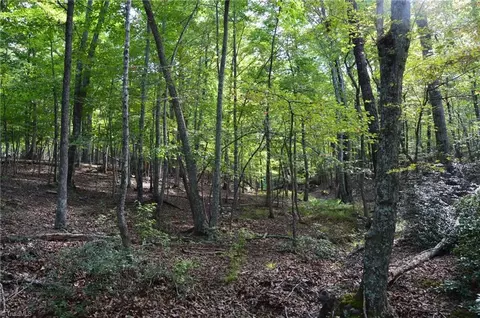 Tract E Hanging Rock Forest Road #TRACT E, Danbury, NC 27016