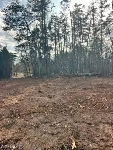 1506 Mcdaniel Rd, Pilot Mountain, NC 27041 photo 3