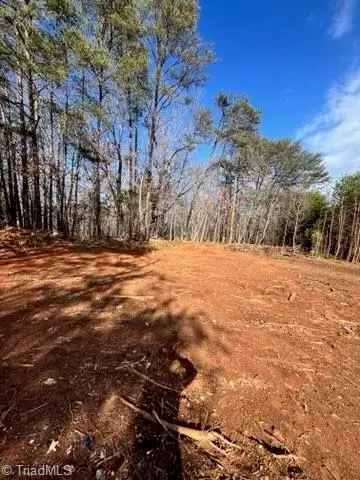 1506 Mcdaniel Rd, Pilot Mountain, NC 27041 photo 11