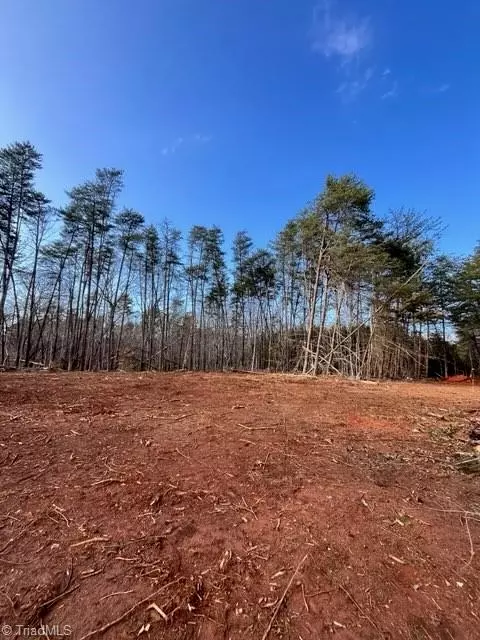 1506 Mcdaniel Rd, Pilot Mountain, NC 27041 photo 6
