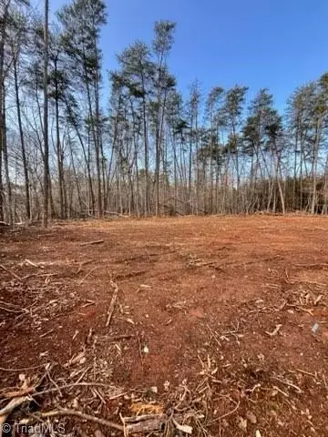 1506 Mcdaniel Rd, Pilot Mountain, NC 27041 photo 8
