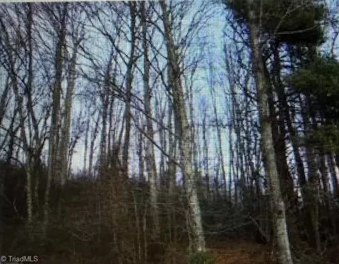 tbd Tony Holder Rd, Lowgap, NC 27024