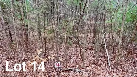 lot14 Woods Haven Ln, Stuart, VA 24171