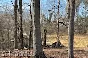 3682 Wyandotte Ave, Winston Salem, NC 27127
